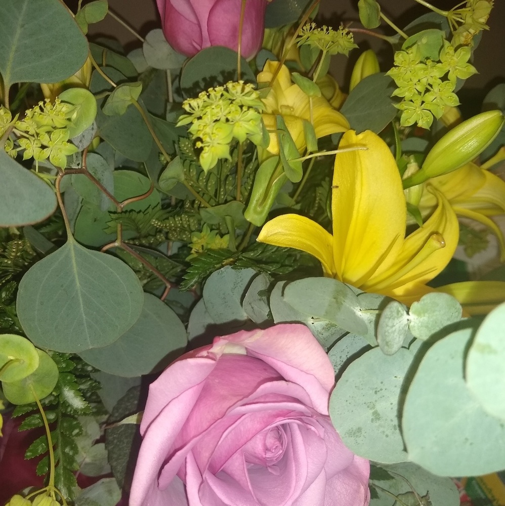 Meet your Posher, Jennifer